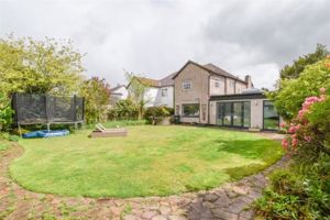 Photo 12- click for photo gallery